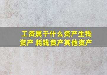 工资属于什么资产生钱资产 耗钱资产其他资产